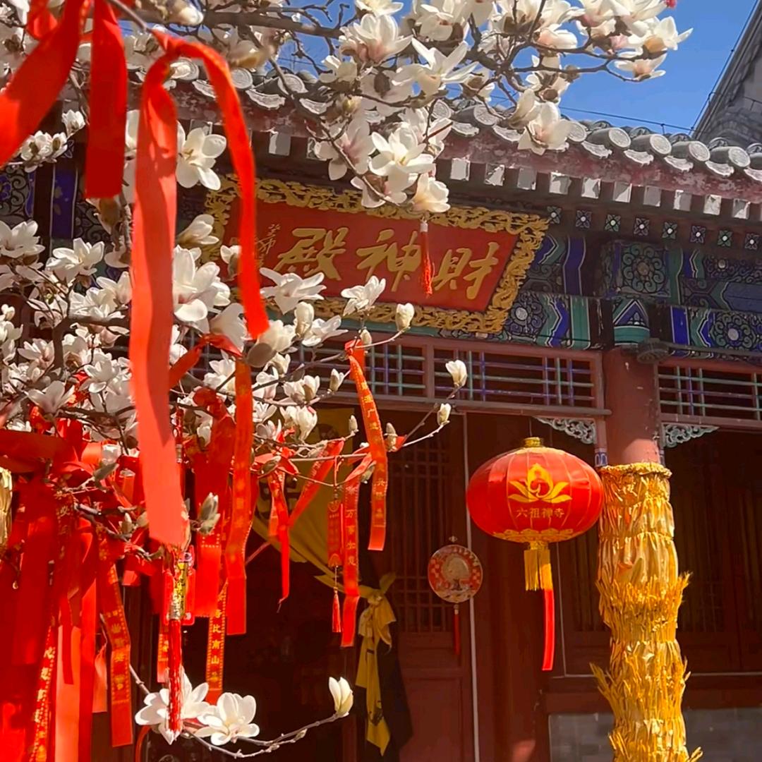 ✨上上签