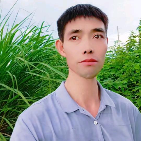 贵平哥