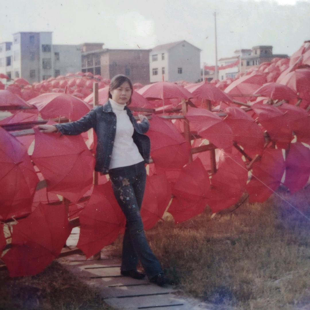 象山燕子冬面销售