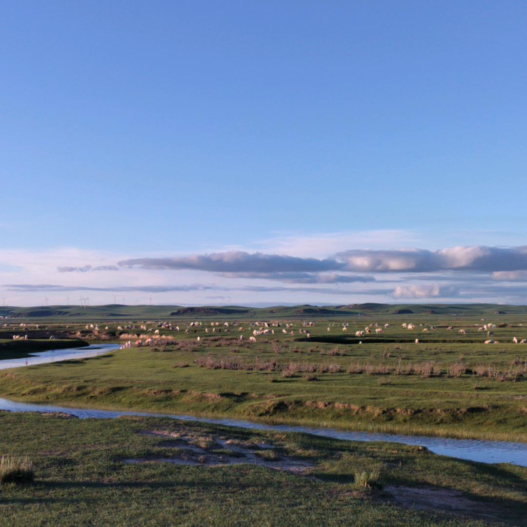 🌺🌺❤️❤️