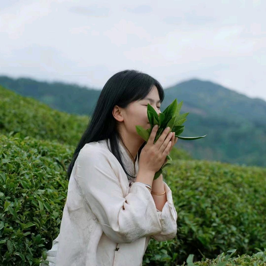 茗前云雾茶叶店