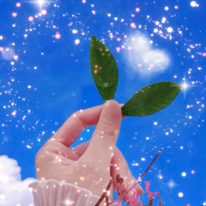 给你一世的芬芳