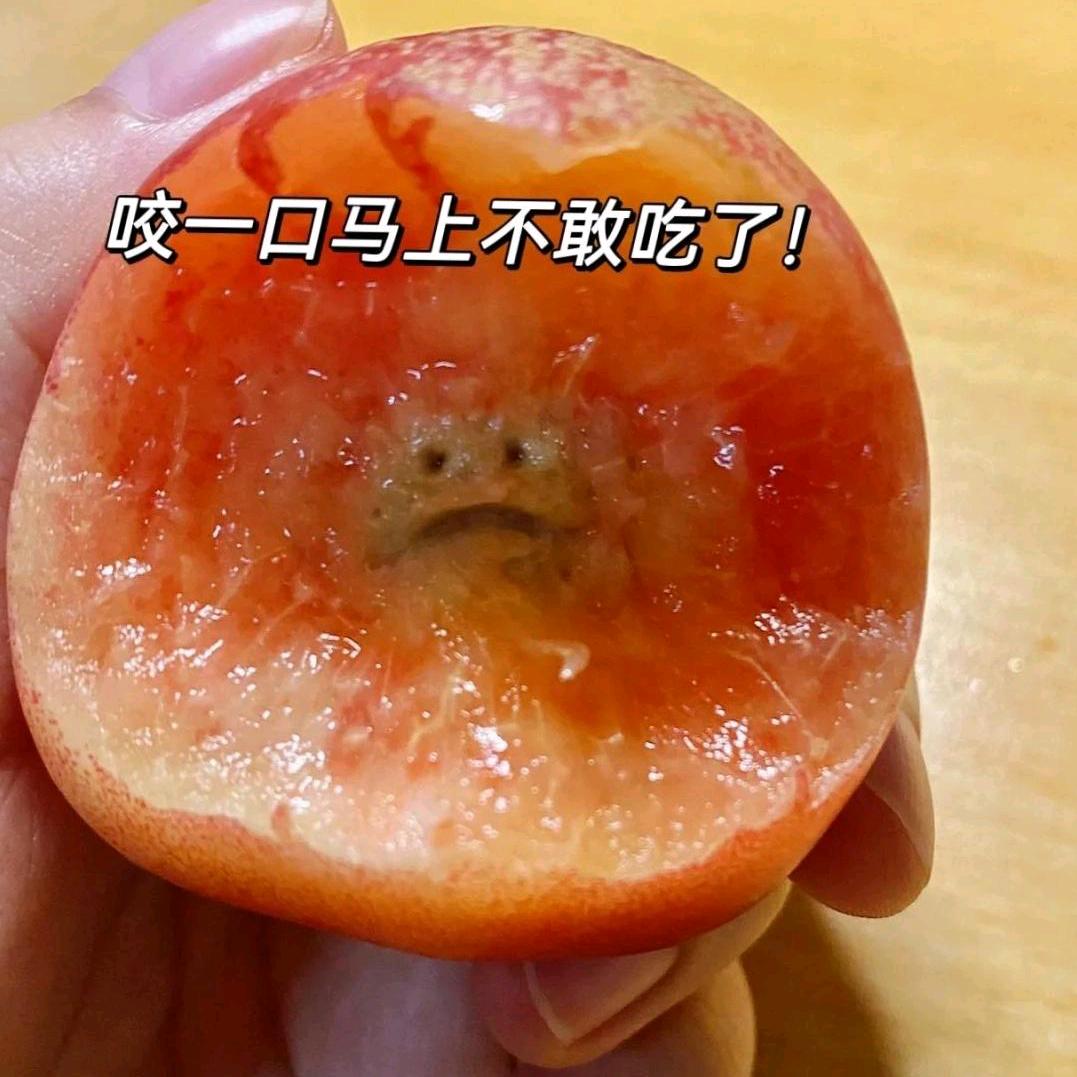 安琦有恙