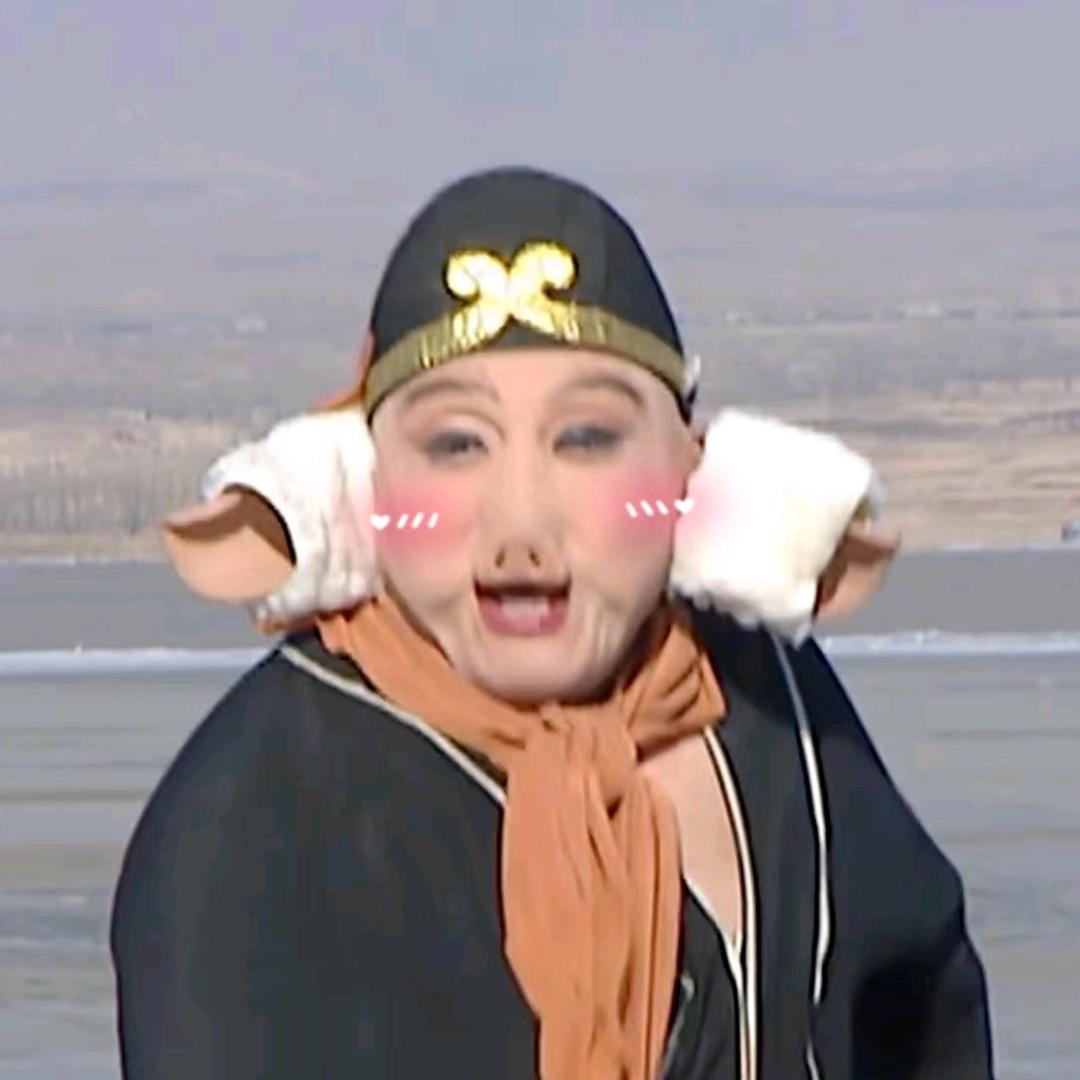八戒别闹