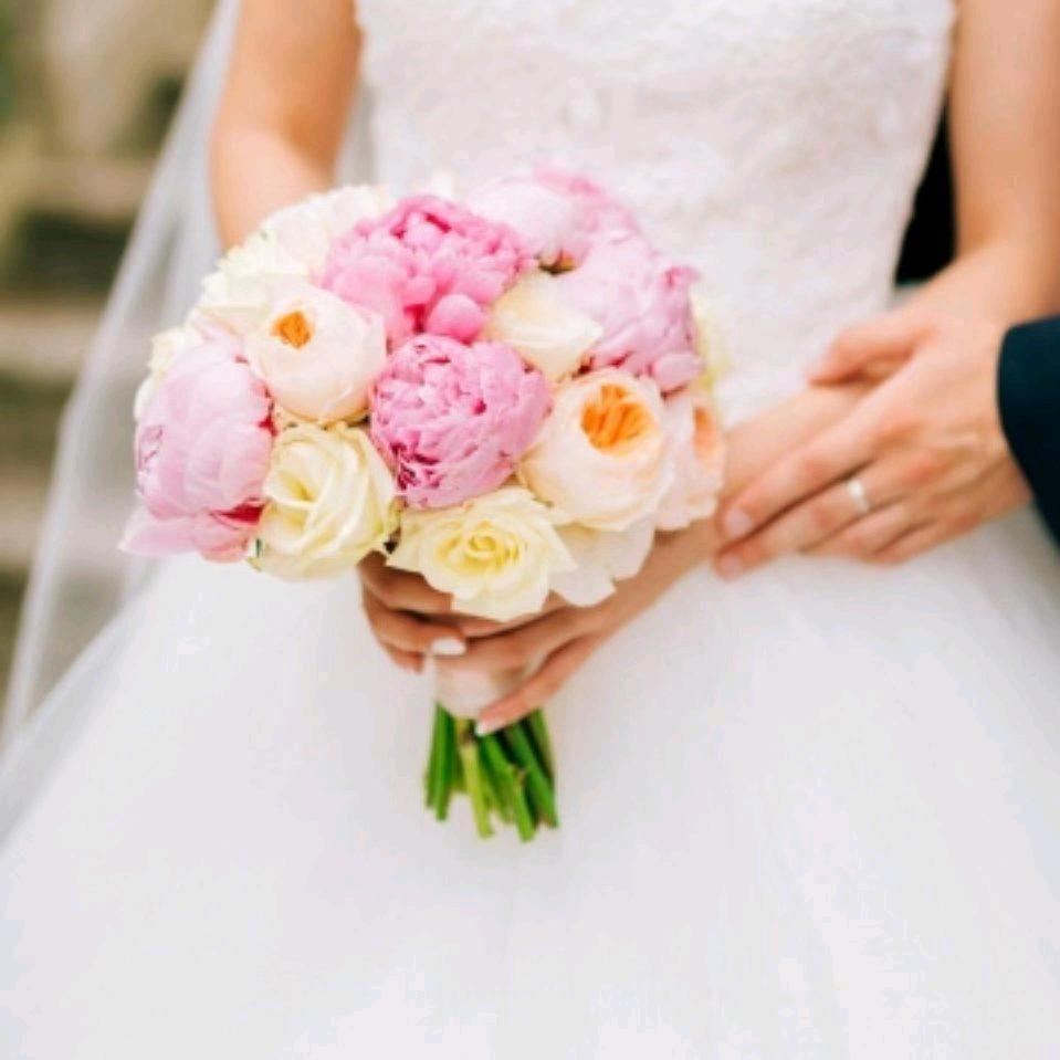 舒雅💋💋(*σ´∀`)σ