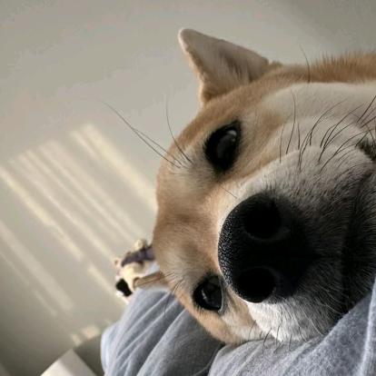 都挺好🤔