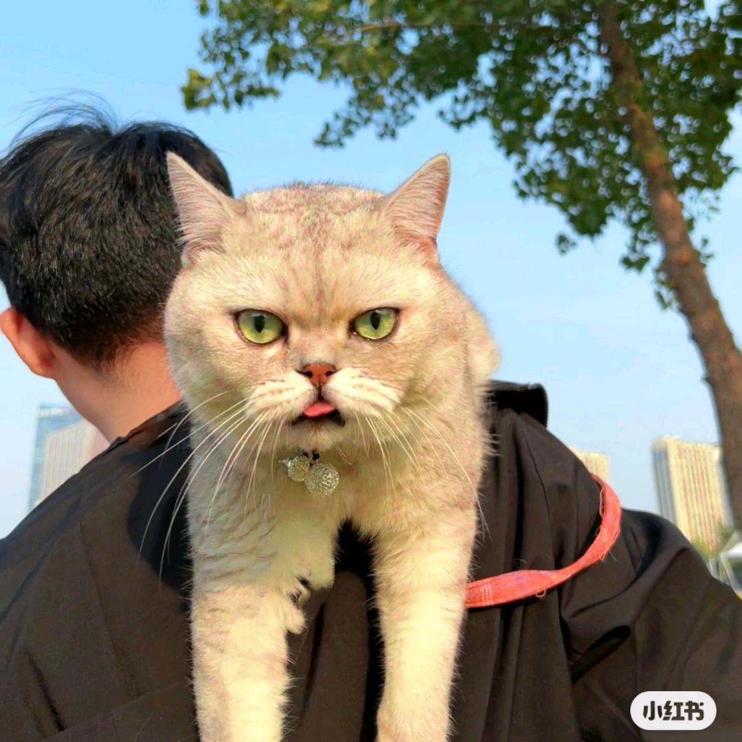见生i