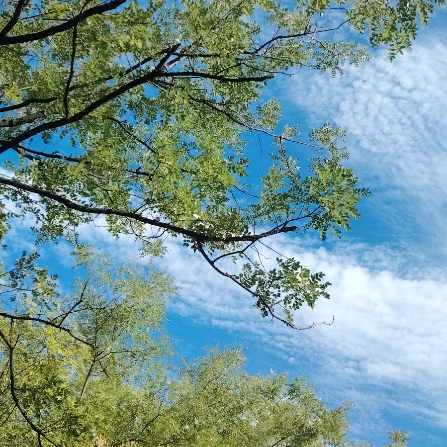 🇾🥀⃟再美᭄꧀ᩚ࿐