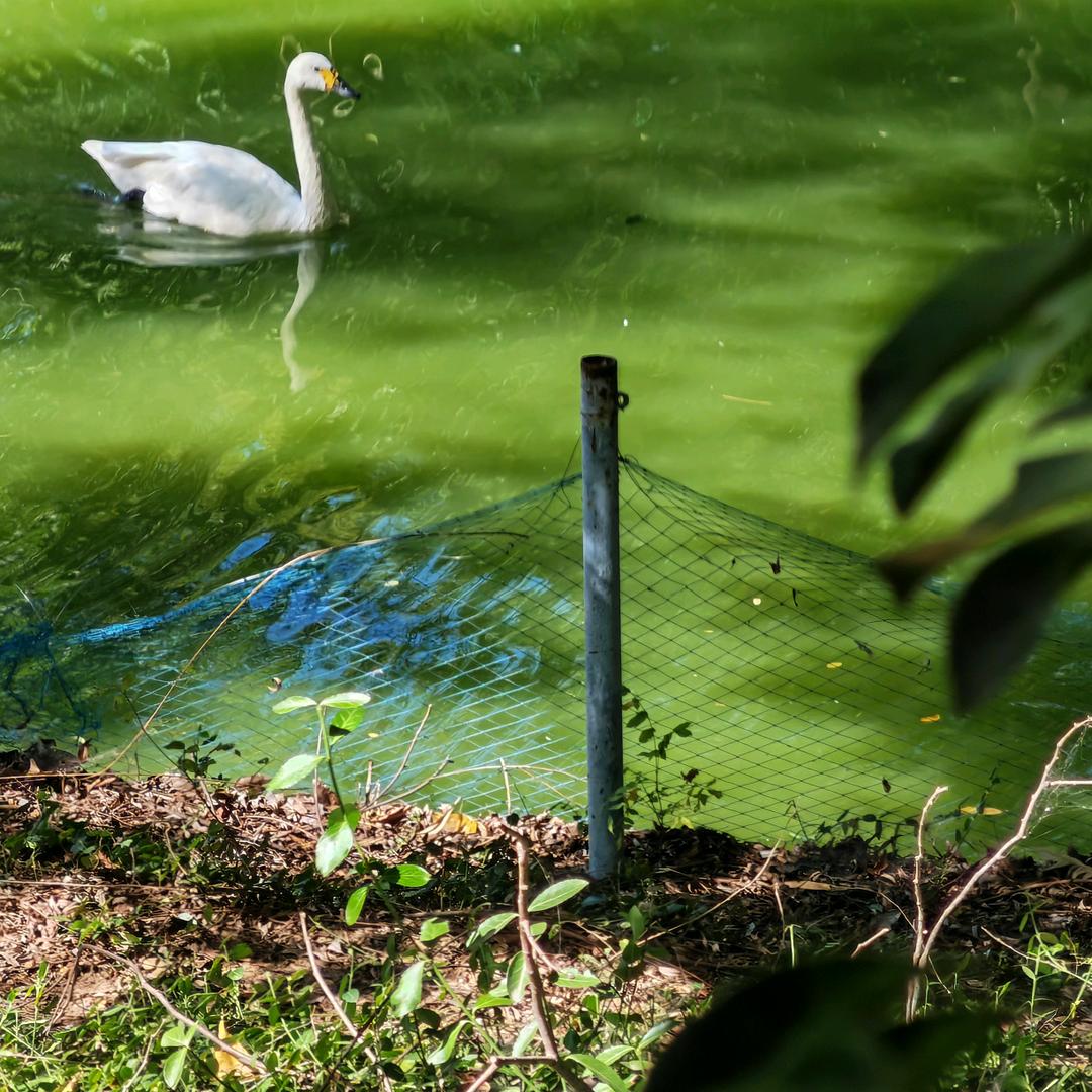 劉连忘返（拒私聊）