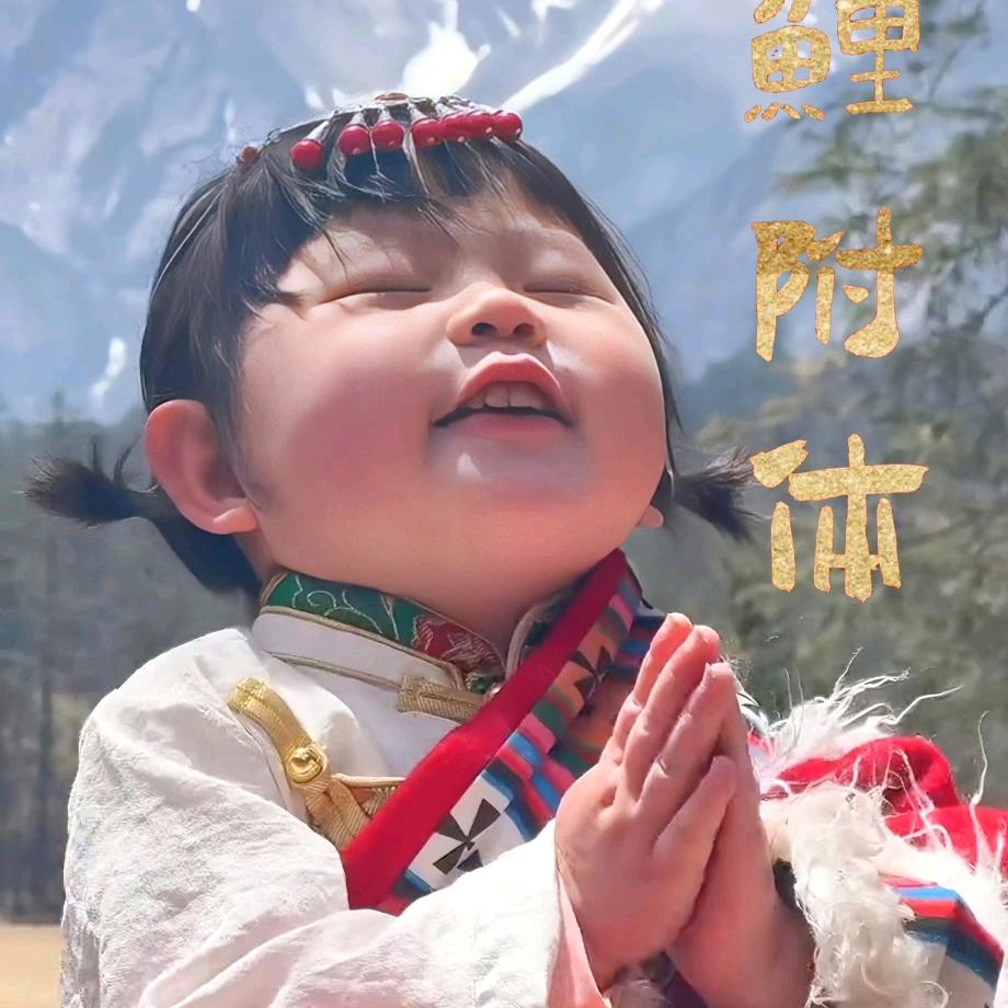 田园旺财-灰姑娘