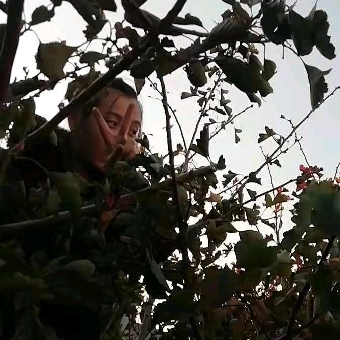 慈母守中线。