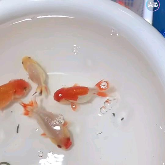 爱莫等