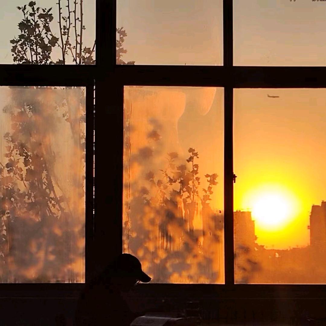 小锅的发疯日记