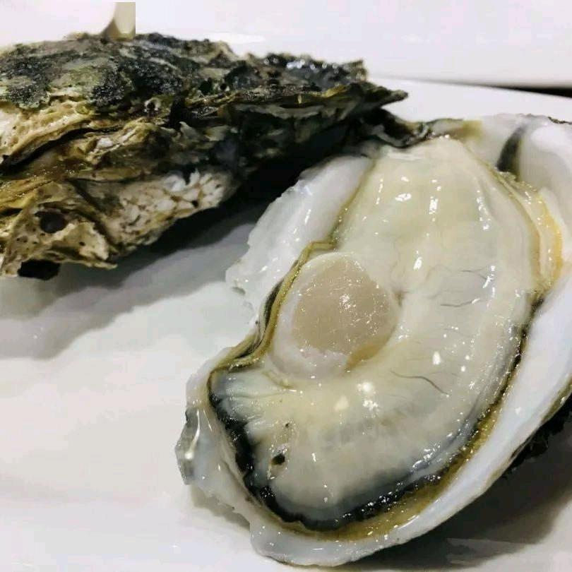 蚝哥