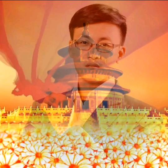 刘总