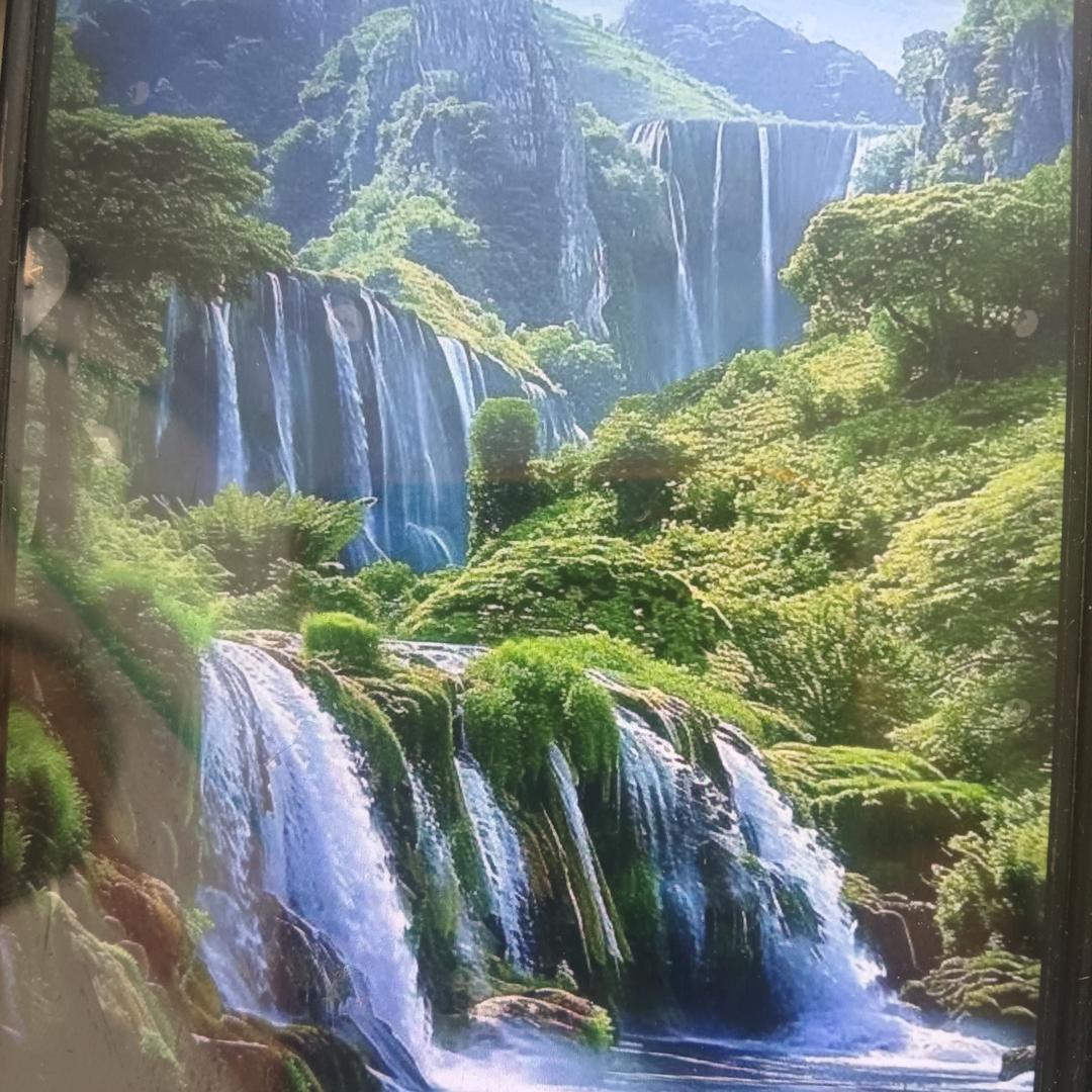 杨绪根天天家政