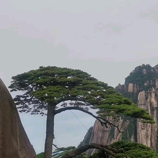 昆山品岳装饰冯工