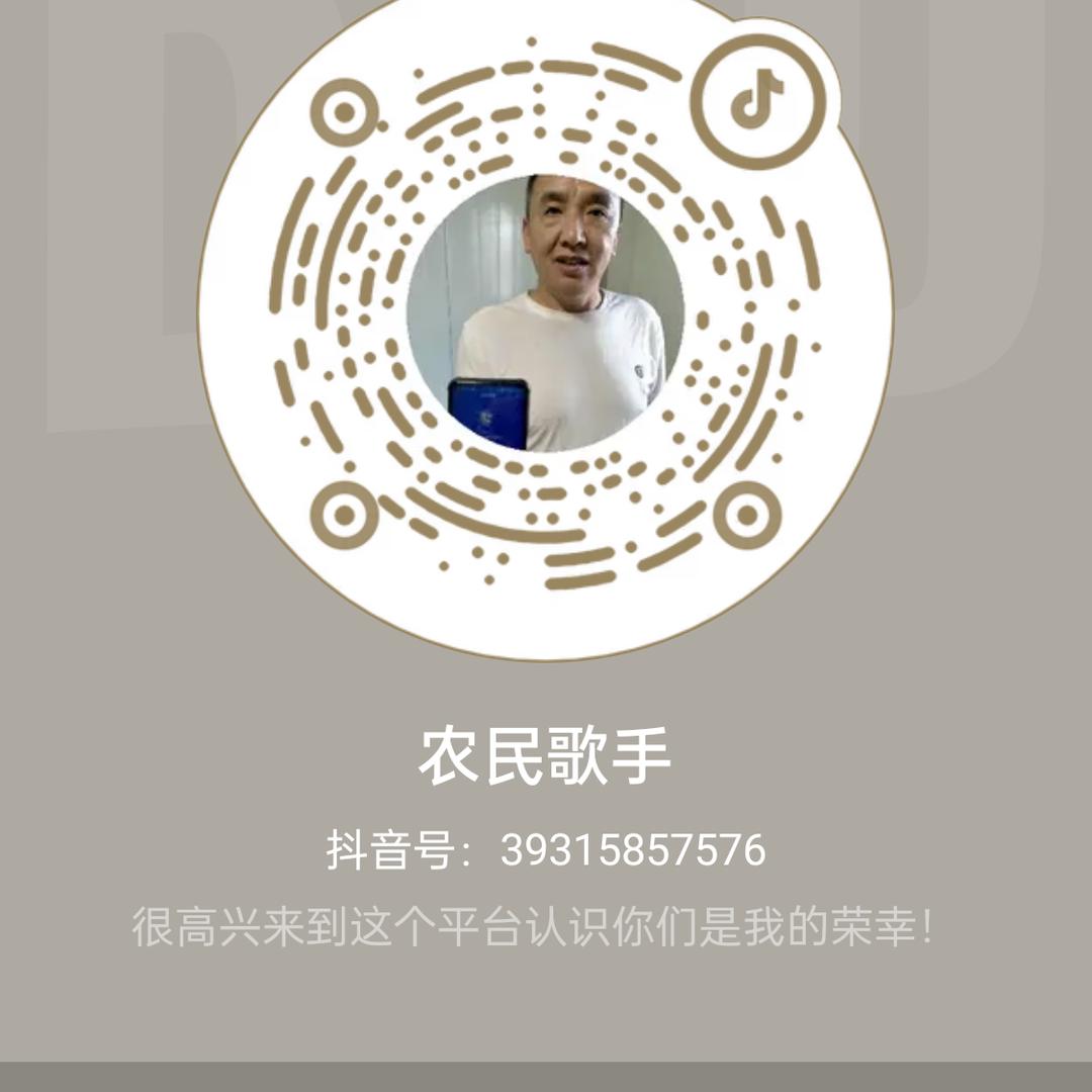 农民歌手