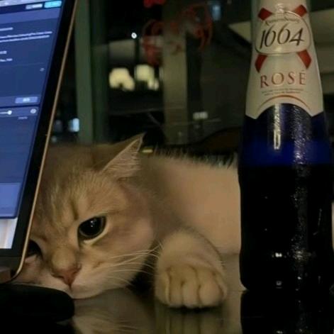 憨熊熊