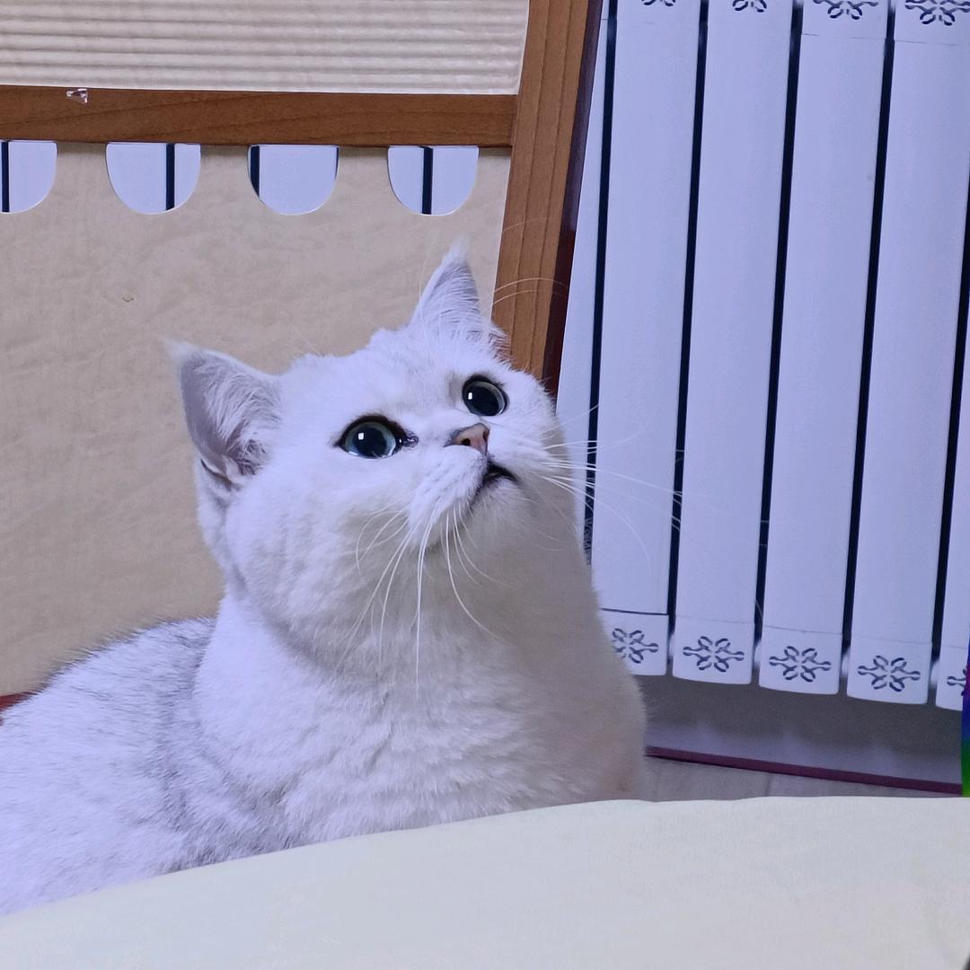 小雨11
