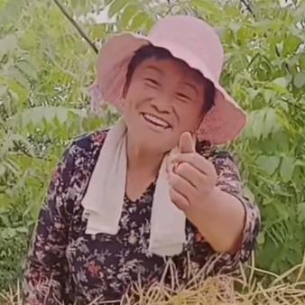 农村四嫂（晚上直播）