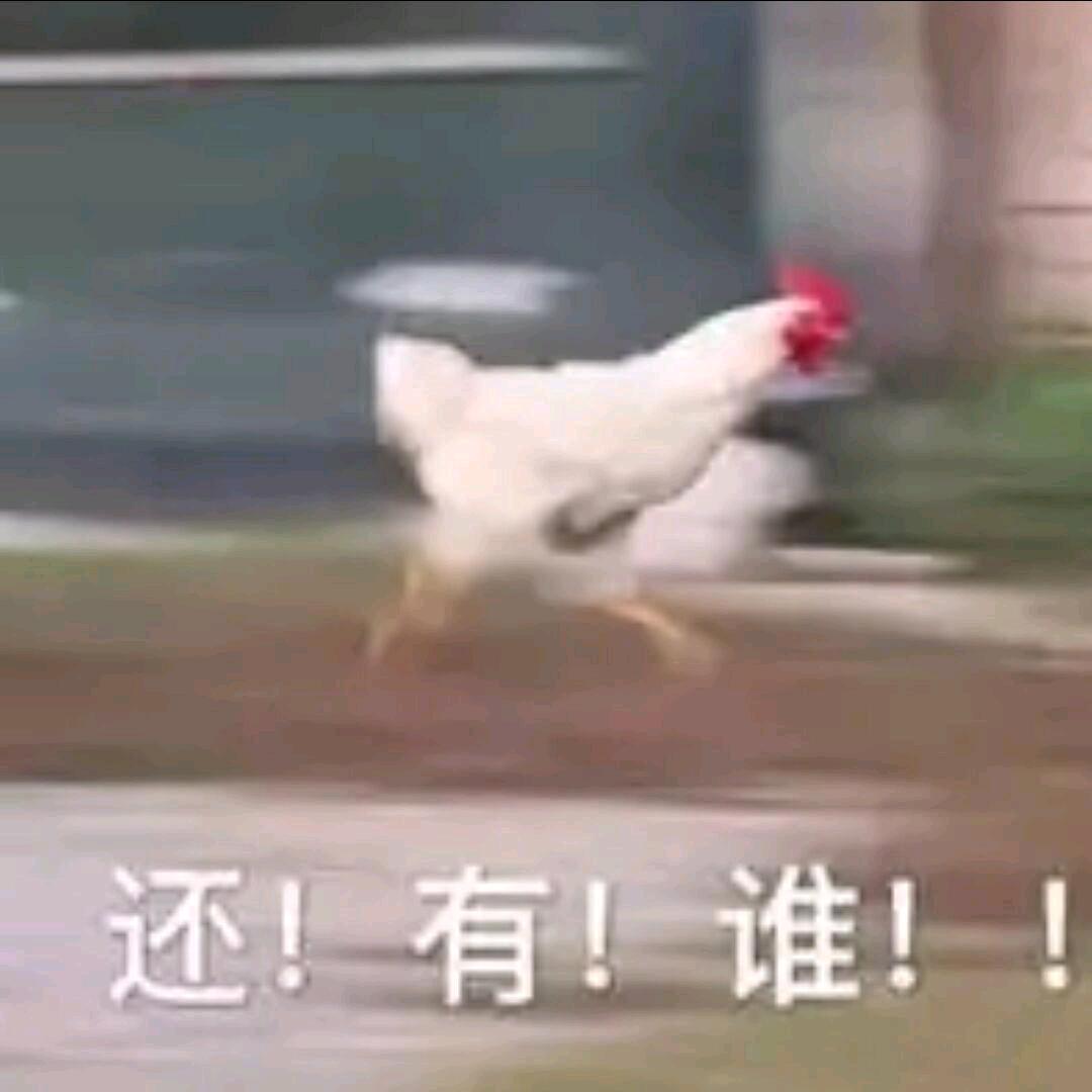 飞鸡