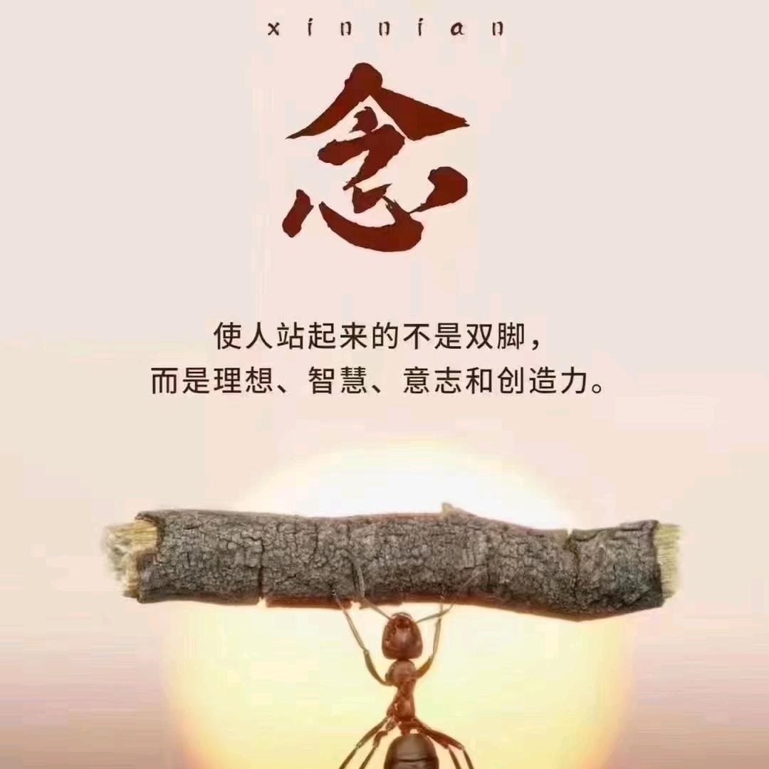 兴风作浪
