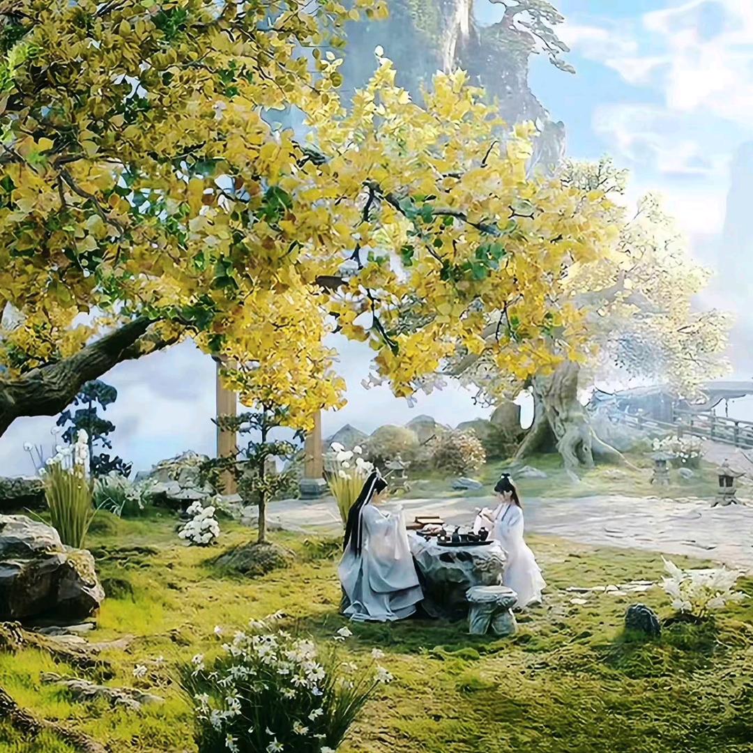 添可洗地机张练