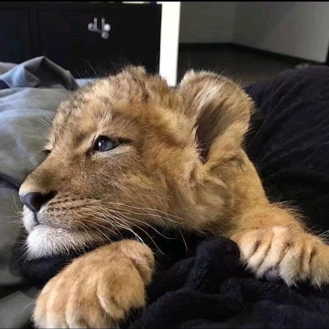 「𝔩𝔢𝔫𝔤🌫️𝔰𝔥𝔞𝔫