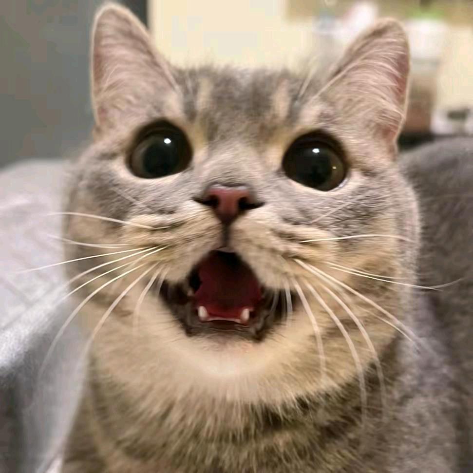 黄倩茹