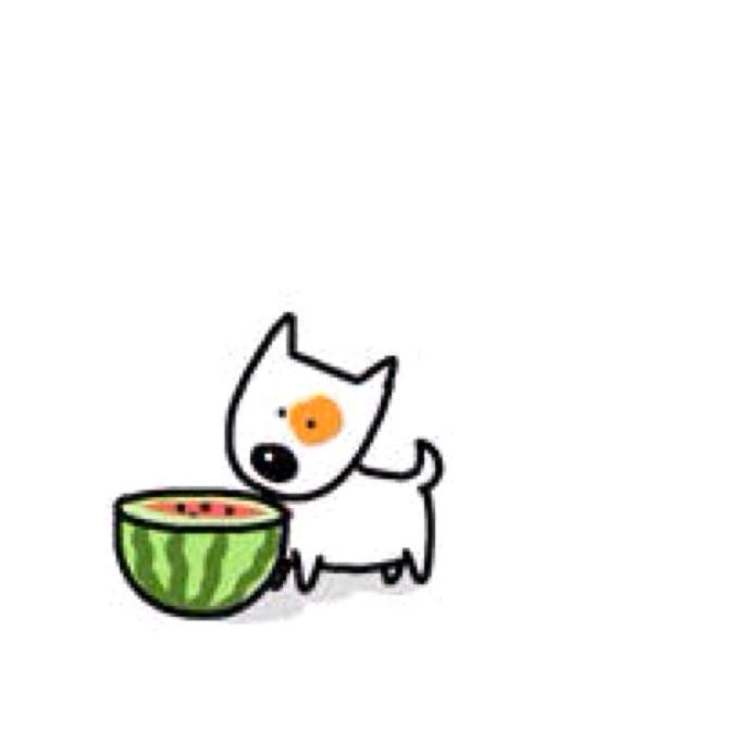 阿 呆🌱