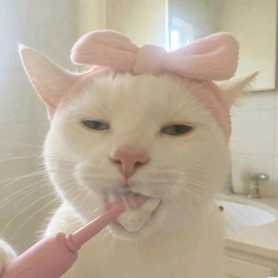 不瘦不拍抖音