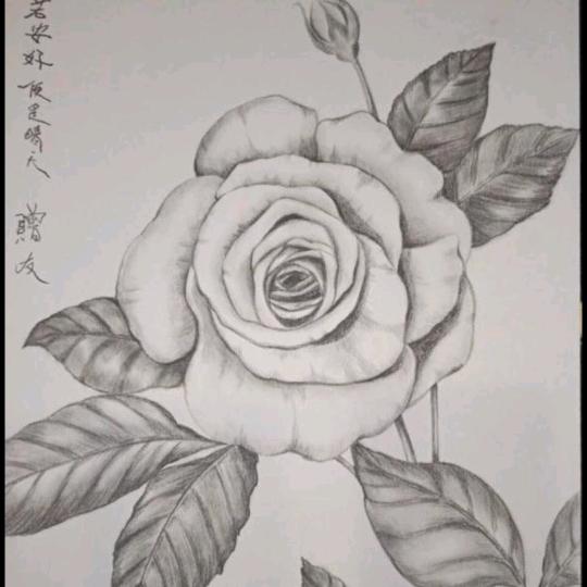 沉默650901