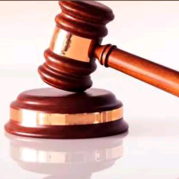 疯人，🤫，愚人，🤫