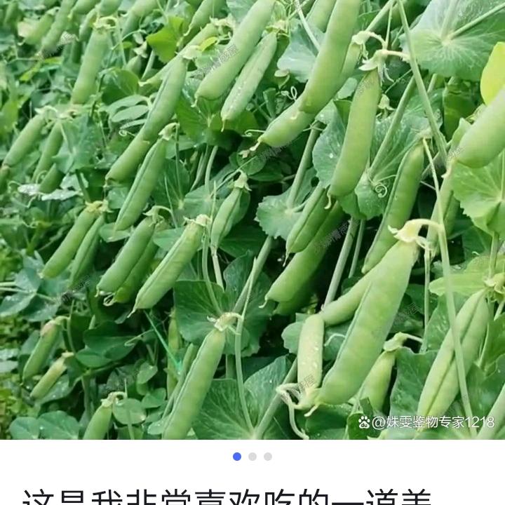 四海卫家