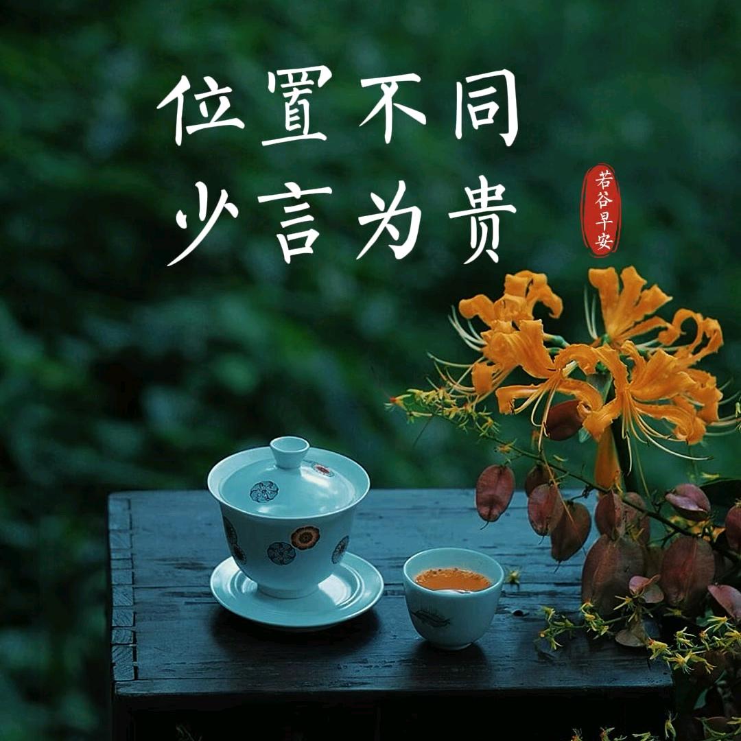 【光头强】