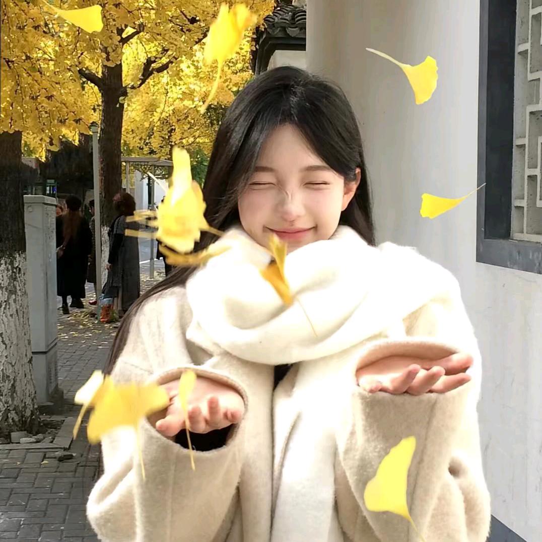 十七📸