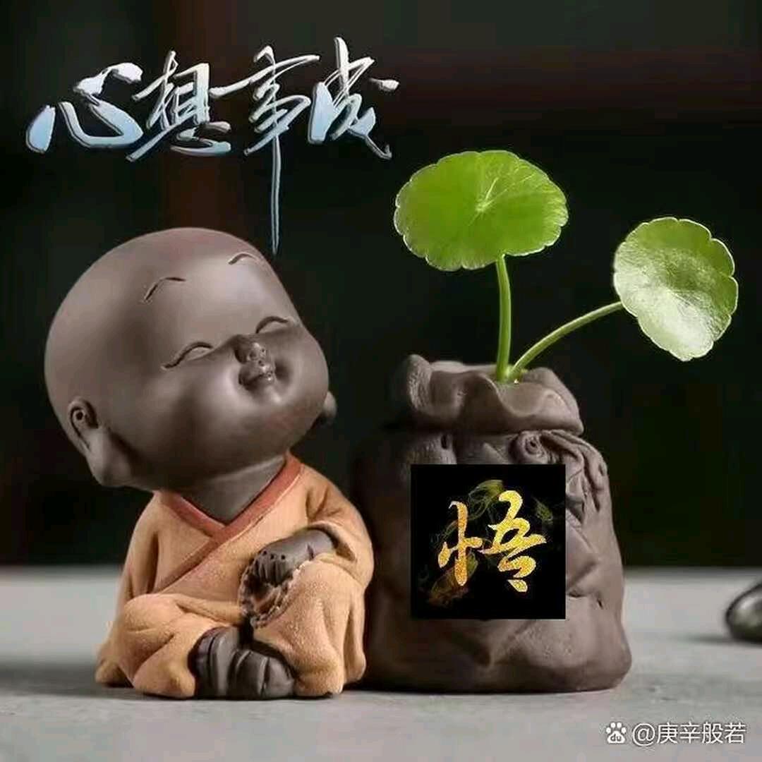 一介青衣