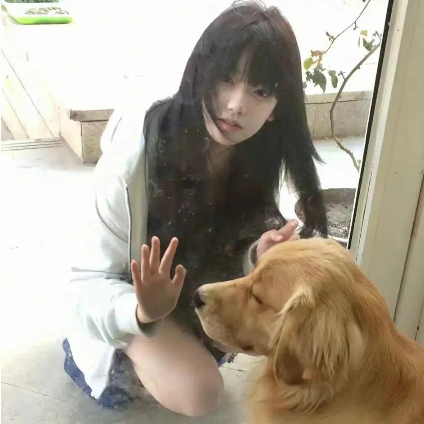 贝贝