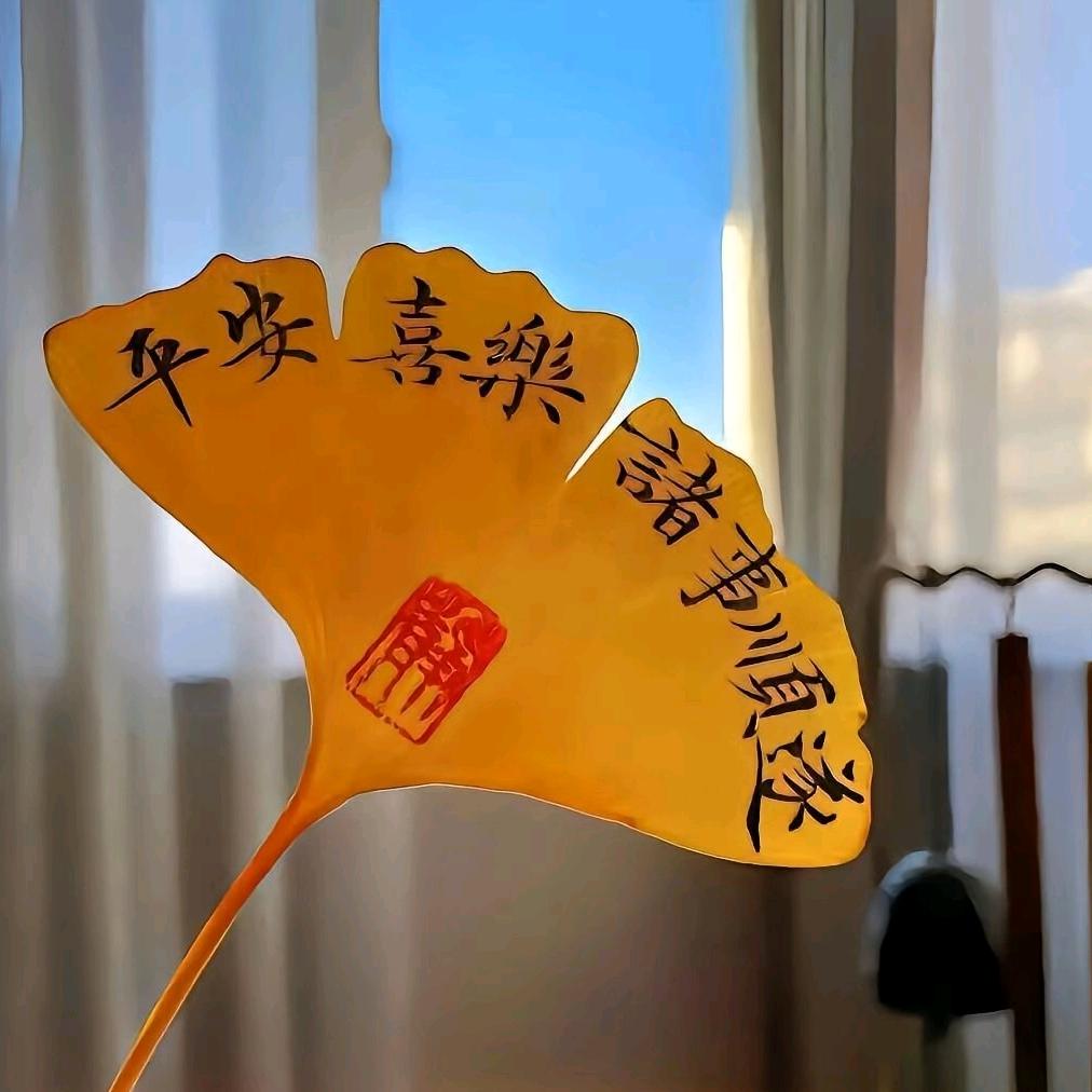 ¹⁹91年的🐑