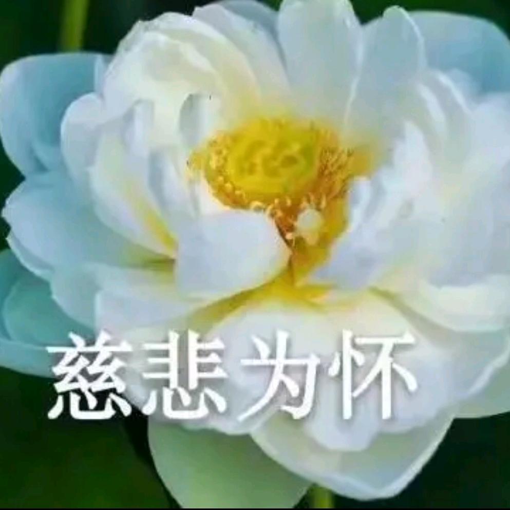 善感程哥