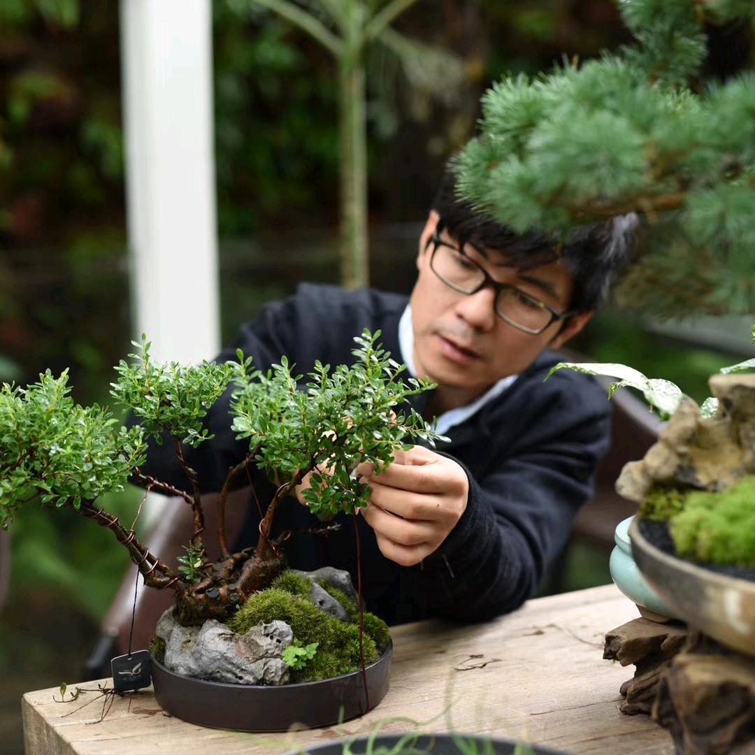 精灵大叔陪你种好花