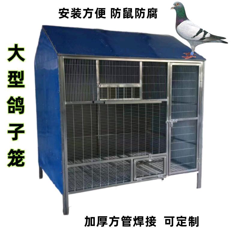 金塔鸡笼狗笼养鸡棚养殖棚