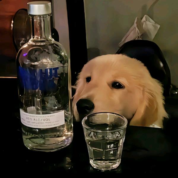 💰༣财神的宠儿ଓꦿ࿐