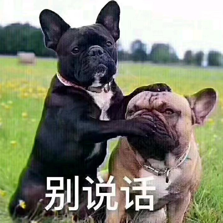 随遇而安