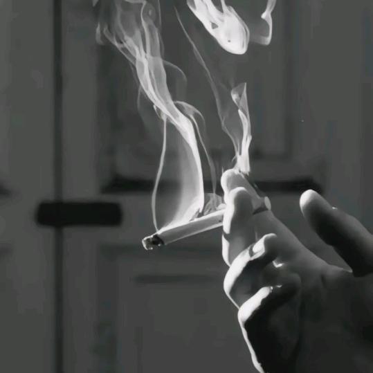 潞楠柯~
