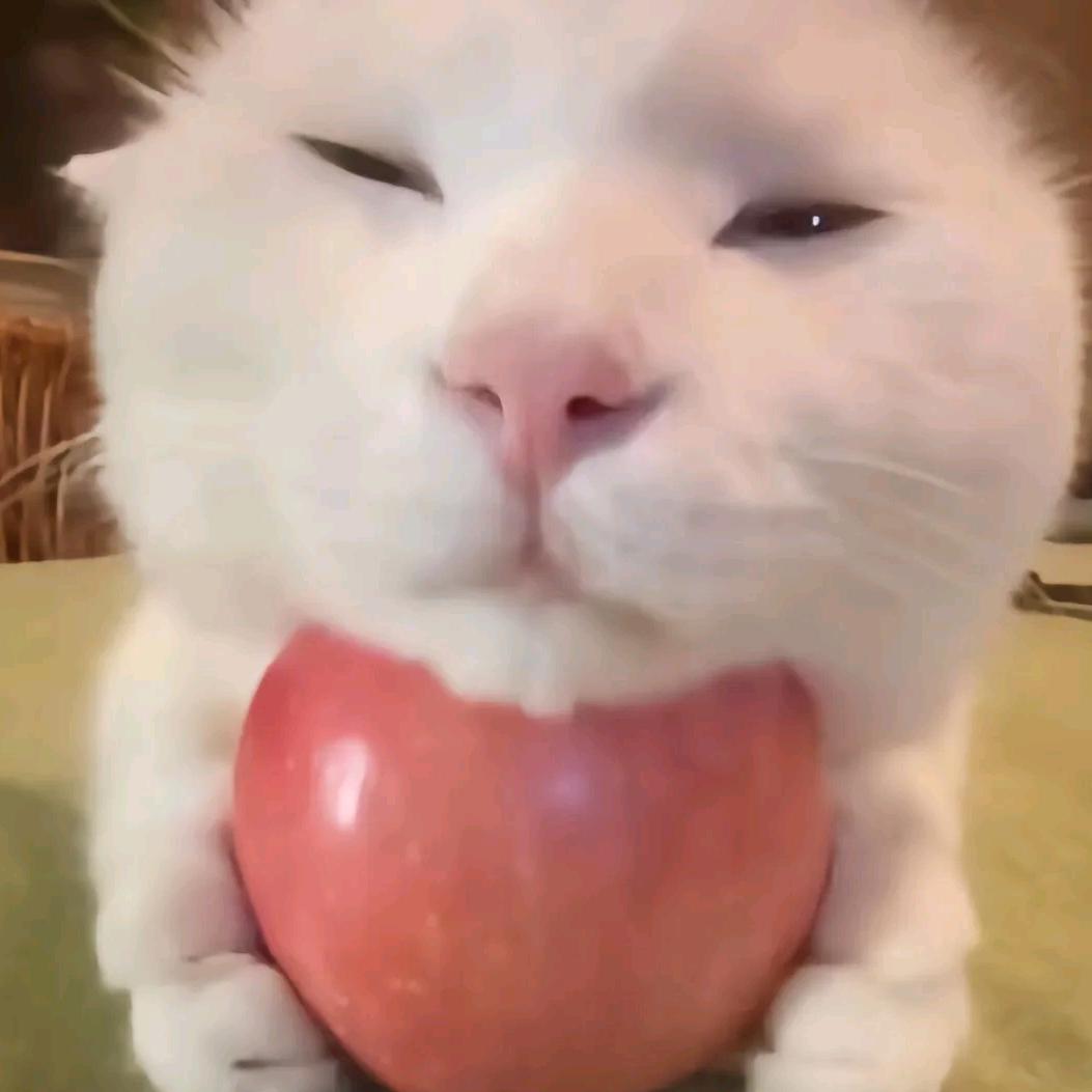 红瓶盖