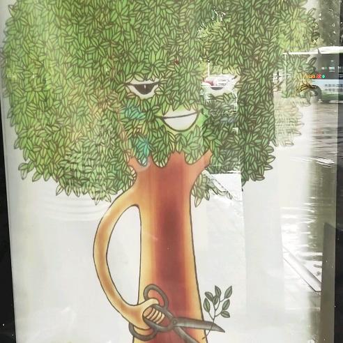 朱娅木