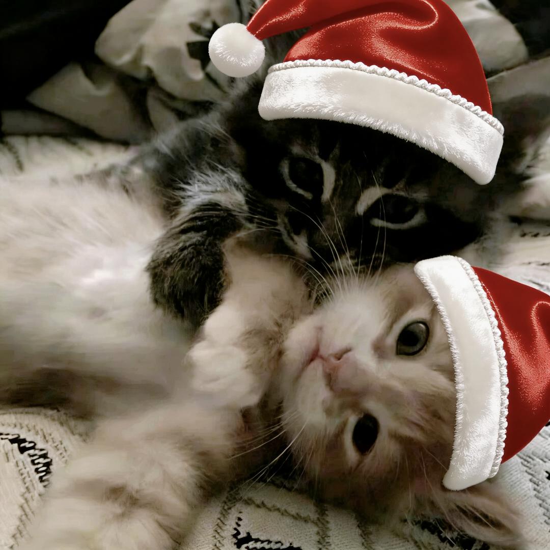 ˉ﹃ˉ