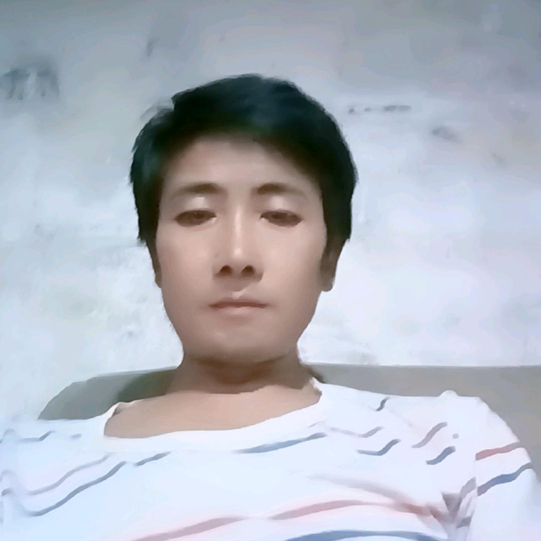 斗鸡哥